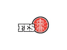 FES Ltd